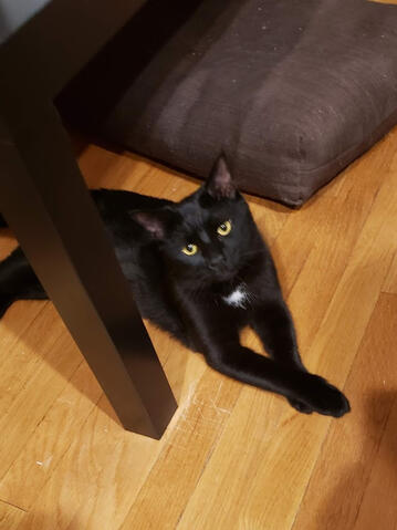 Bobbi sittin' pretty