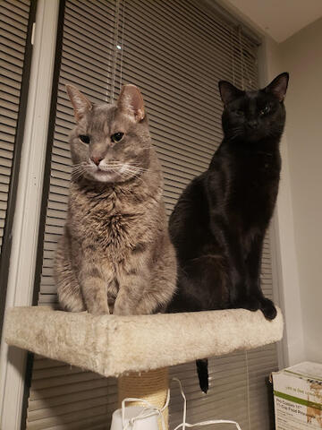 Roger & Nim standing tall