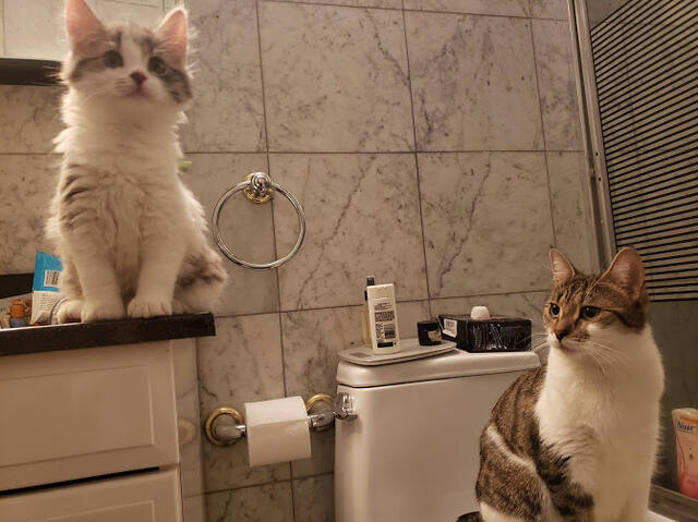 Kramer watching Ruthie be majestic