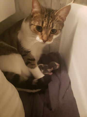 Kramer with zero-day-old Ruthie