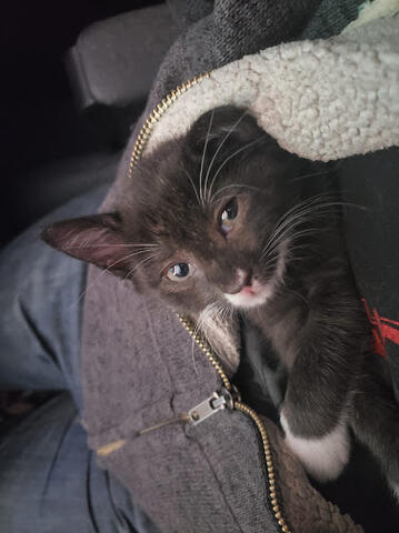 Myrna in a sweatshirt