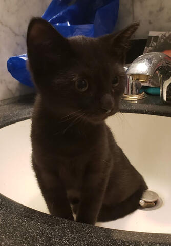 Nim on his first day home