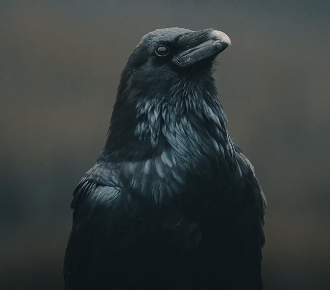 Image credit: Kevin Mueller via unsplash.com