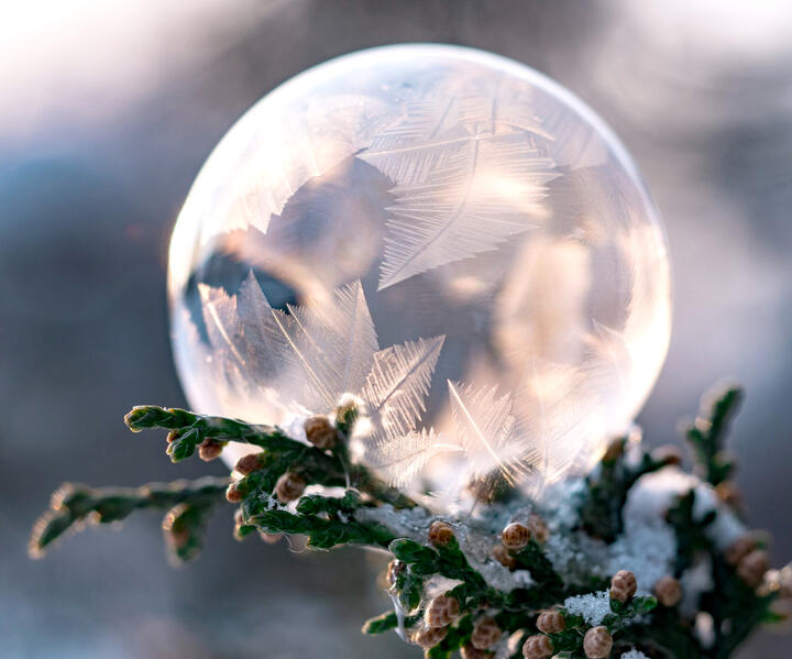 Image credit: Aaron Burden via unsplash.com