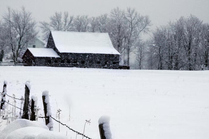 Image credit: Robert Thiemann via unsplash.com